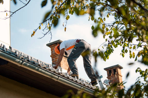 Best Sheet Metal Roofing  in Saunders Lake, OR